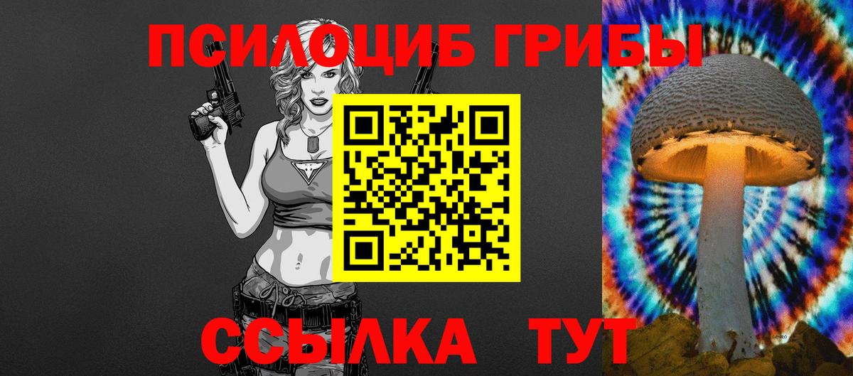 Псилоцибиновые грибы MAGIC MUSHROOMS Осинники
