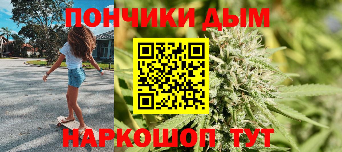 Конопля сатива Осинники